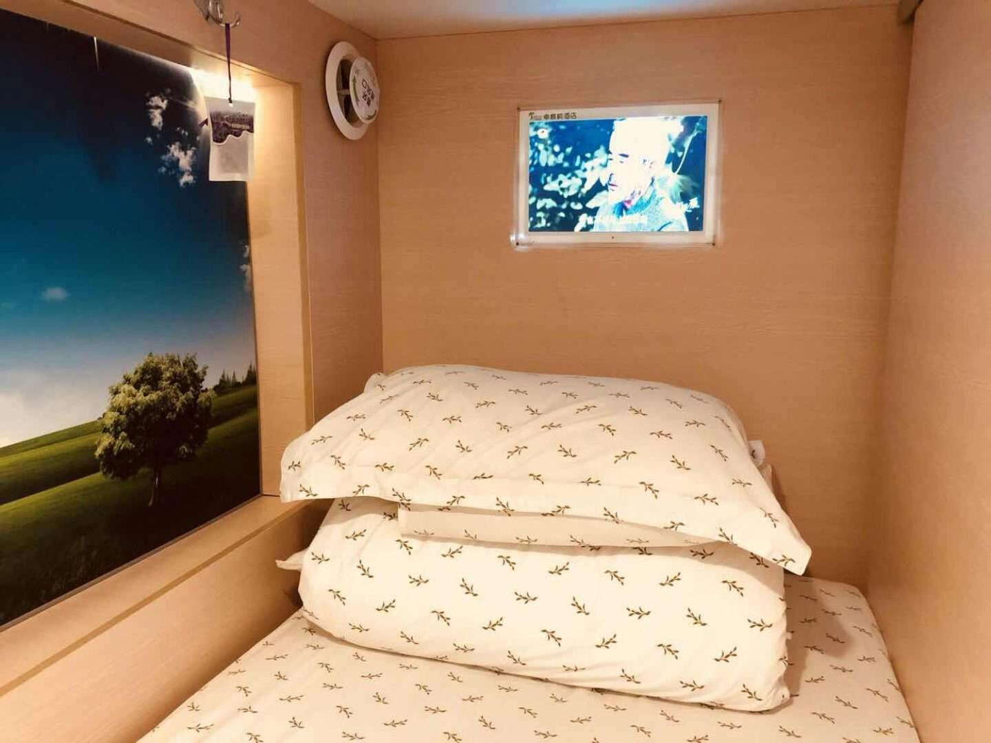 The Olive Tree Capsule Hostel Sencsen Kültér fotó